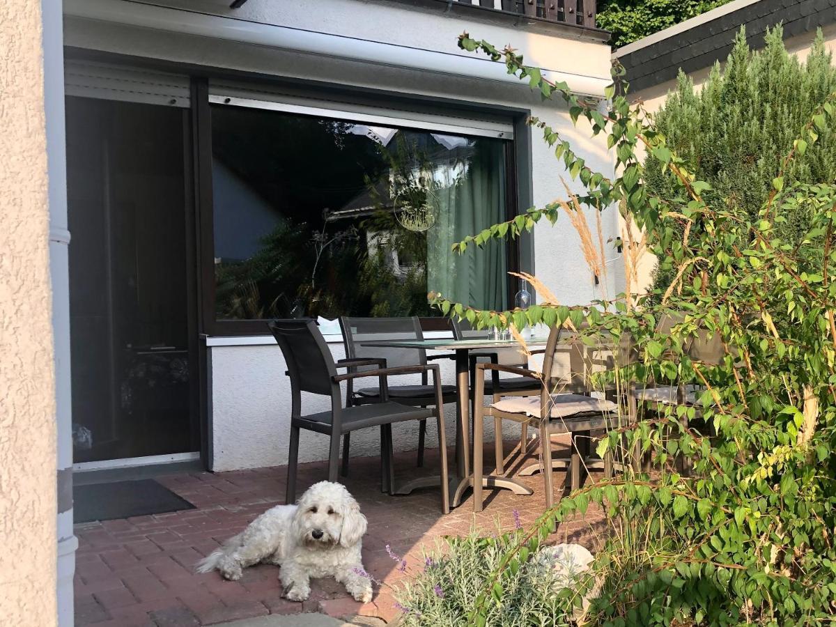 ヴィリンゲンHaus Am Iberg 4アパートメント エクステリア 写真